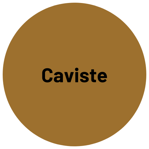 caviste